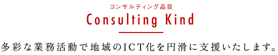 コンサルティング品目 多彩な業務活動で地域のICT化を円滑に支援いたします。