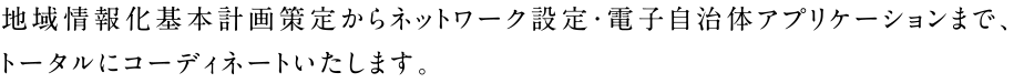 地域情報化基本計画策定からネットワーク設定・電子自治体アプリケーションまで、トータルにコーディネートいたします。